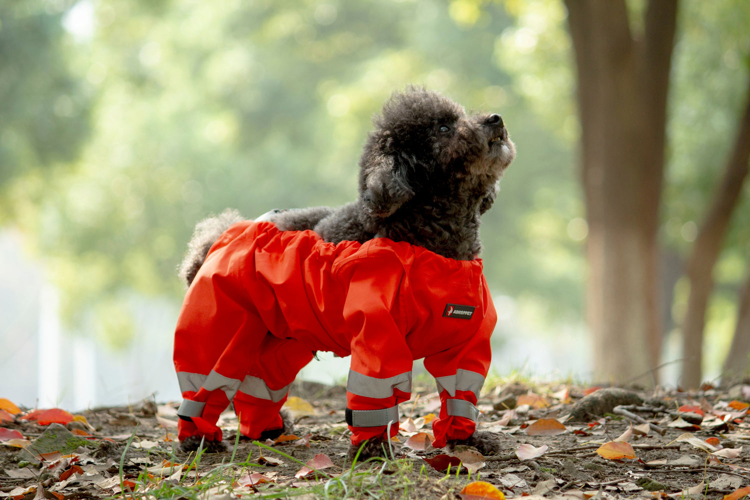 SHIELD-PROTECTIVE ALL-WEATHER DOG PANTS