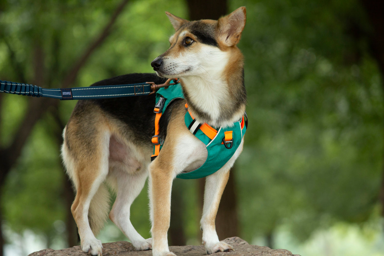 MOUNTAIN TREK HARNESS-GREEN