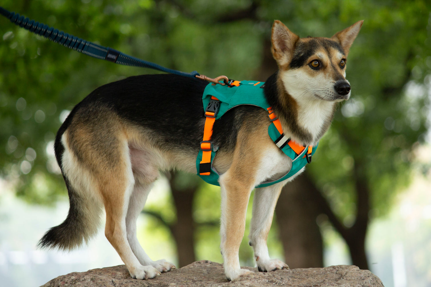 MOUNTAIN TREK HARNESS-GREEN