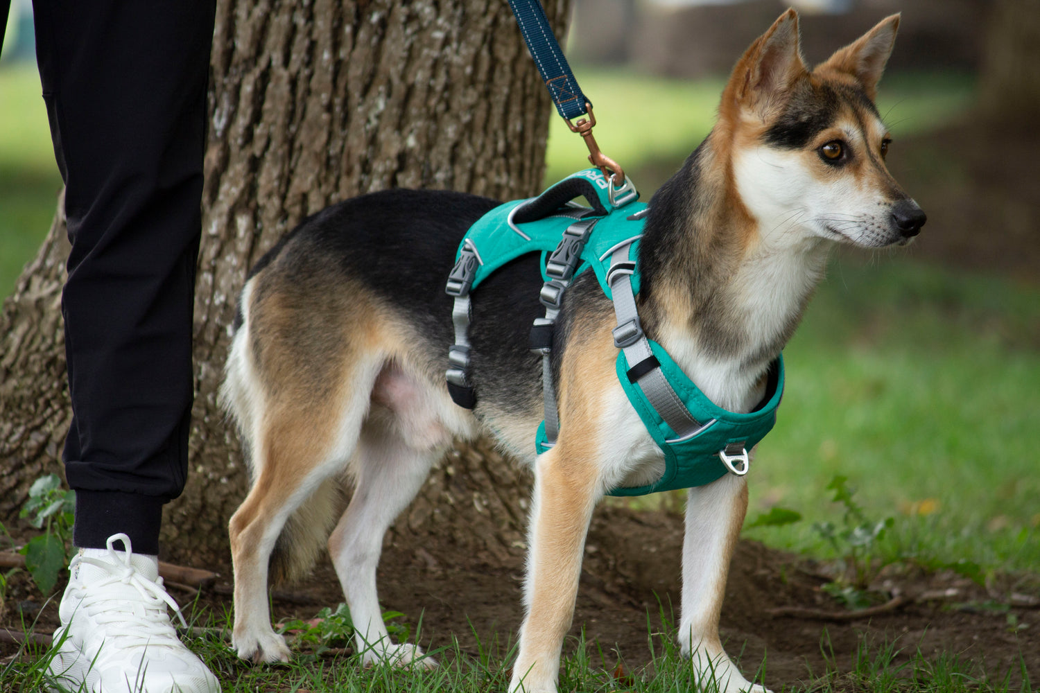 Trailer Harness-Sage