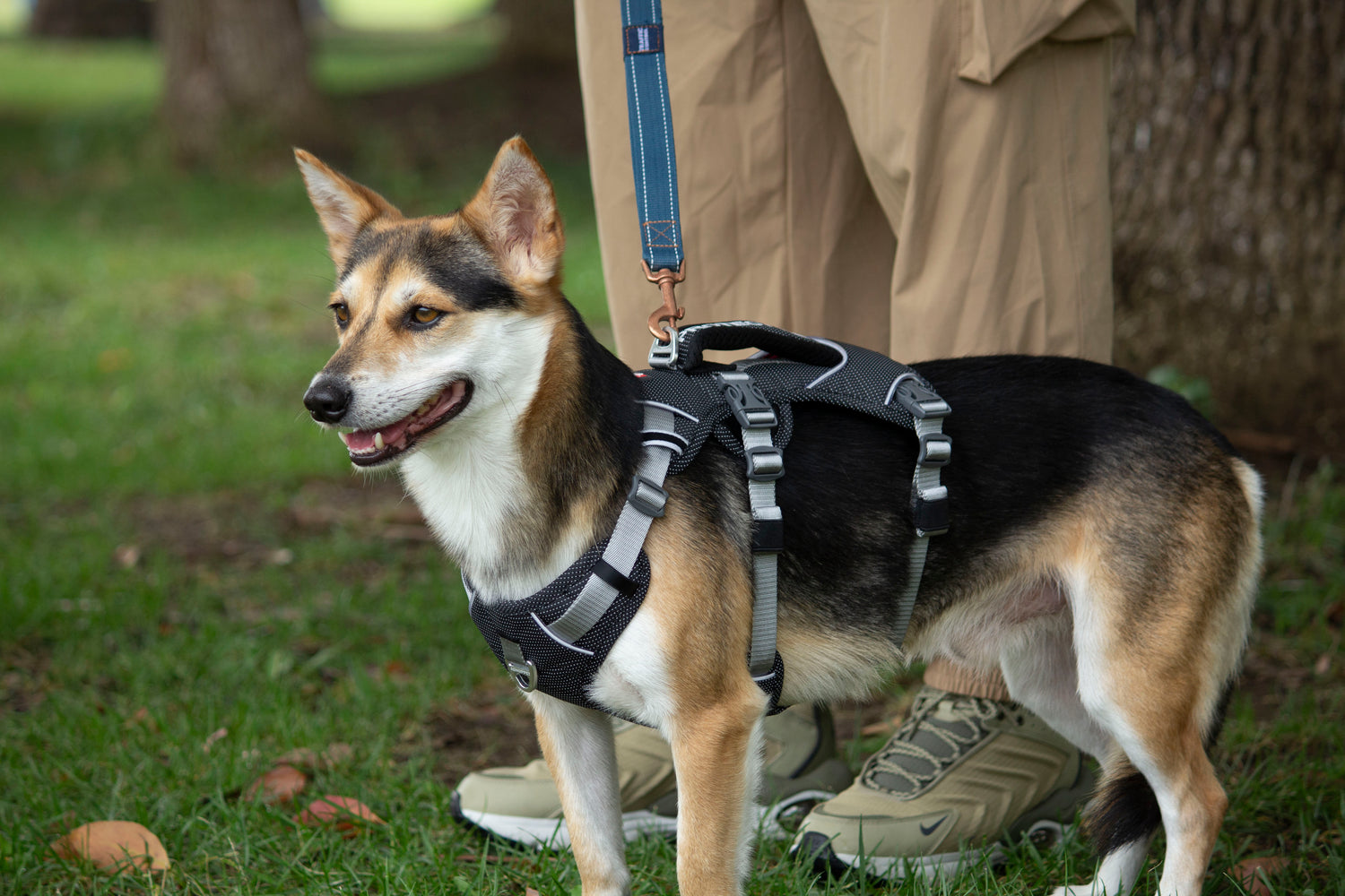 Trailer Harness-Reflective Oxford