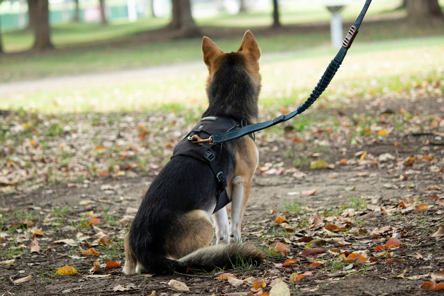 MOUNTAIN TREK HARNESS-BLACK
