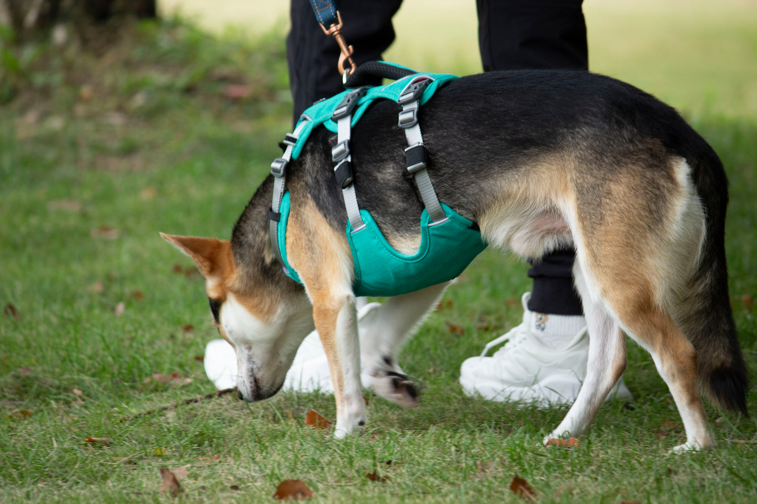 Trailer Harness-Sage