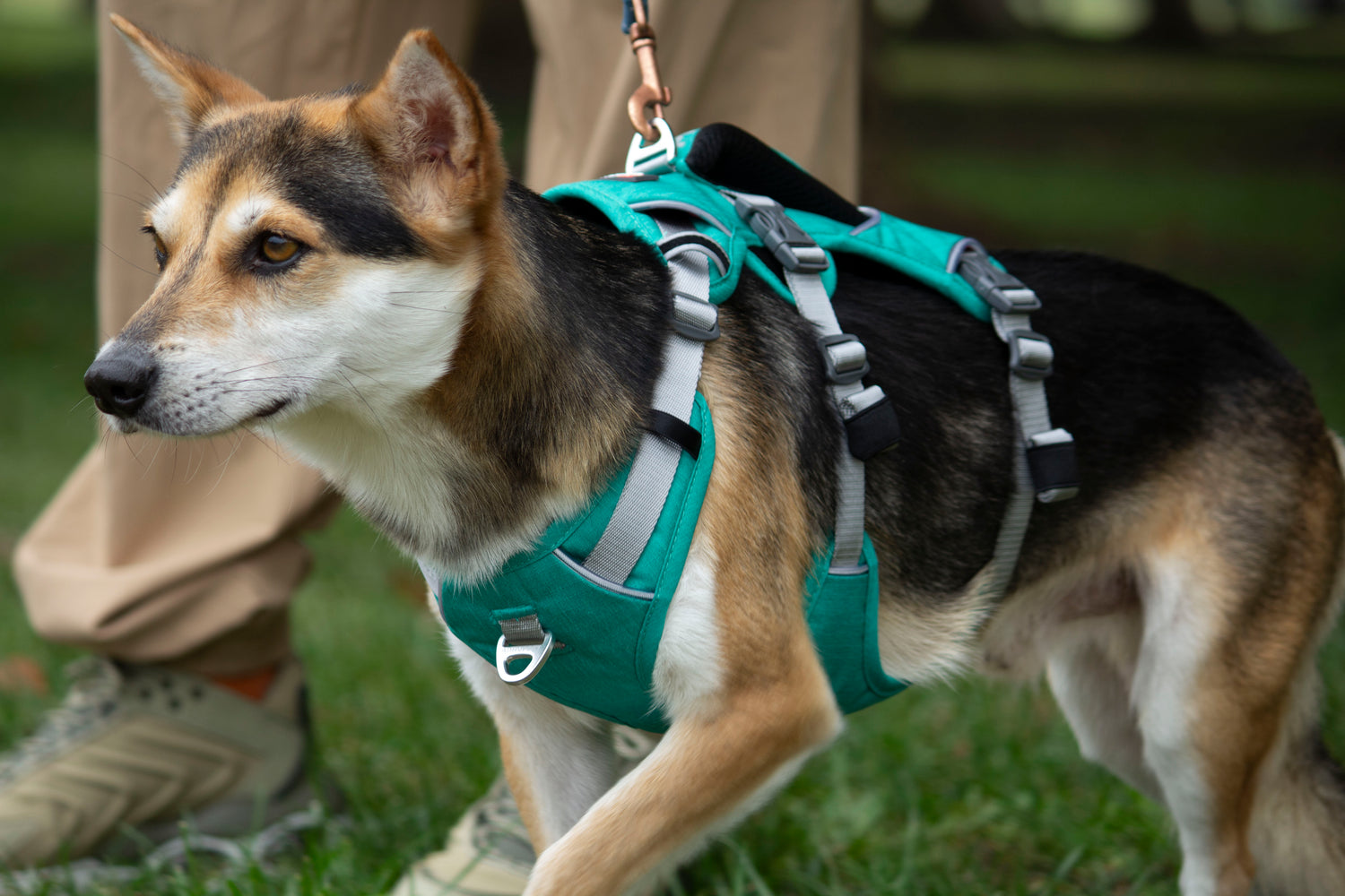 Trailer Harness-Sage