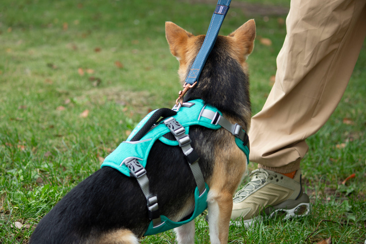 Trailer Harness-Sage