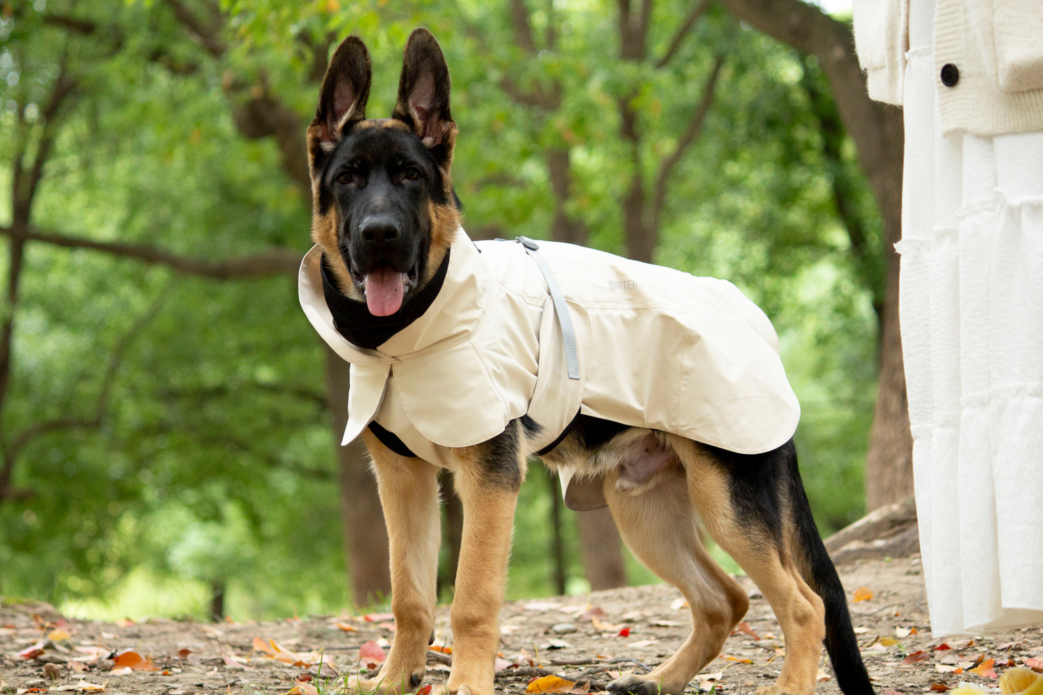 FOREST MIST RAINCOAT/Beige