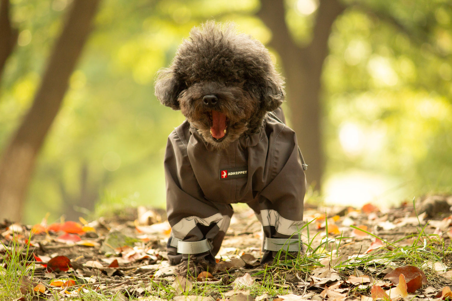 Shield-Protective All-Weather Dog Pants/Grey