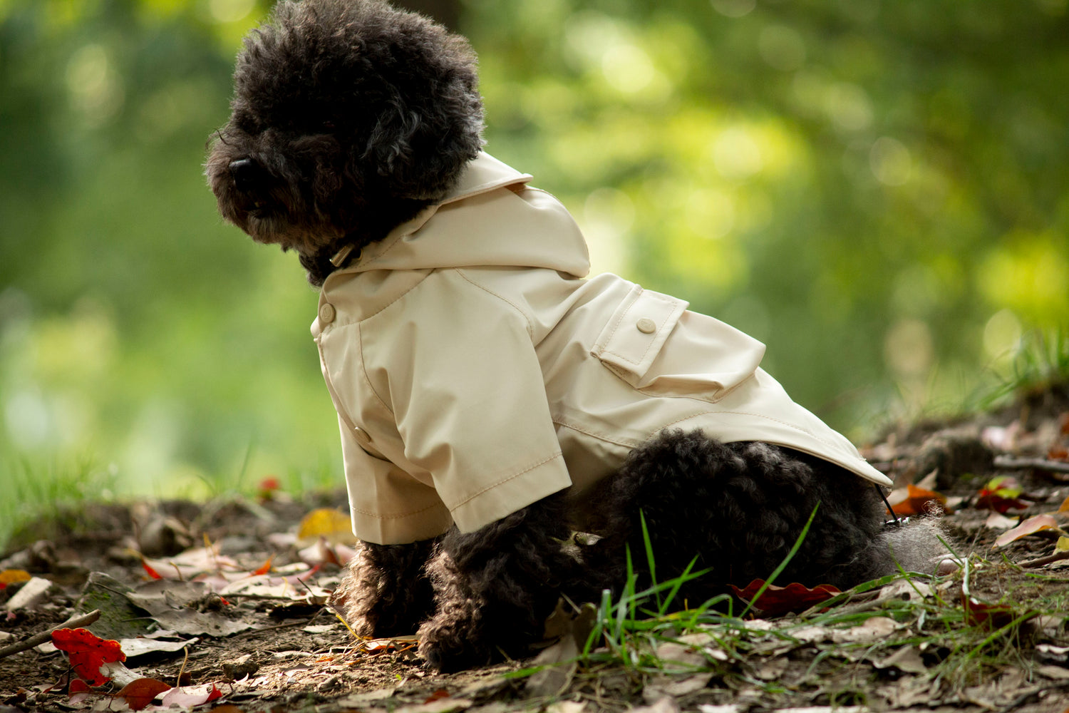 Doggie Rainshield-Beige