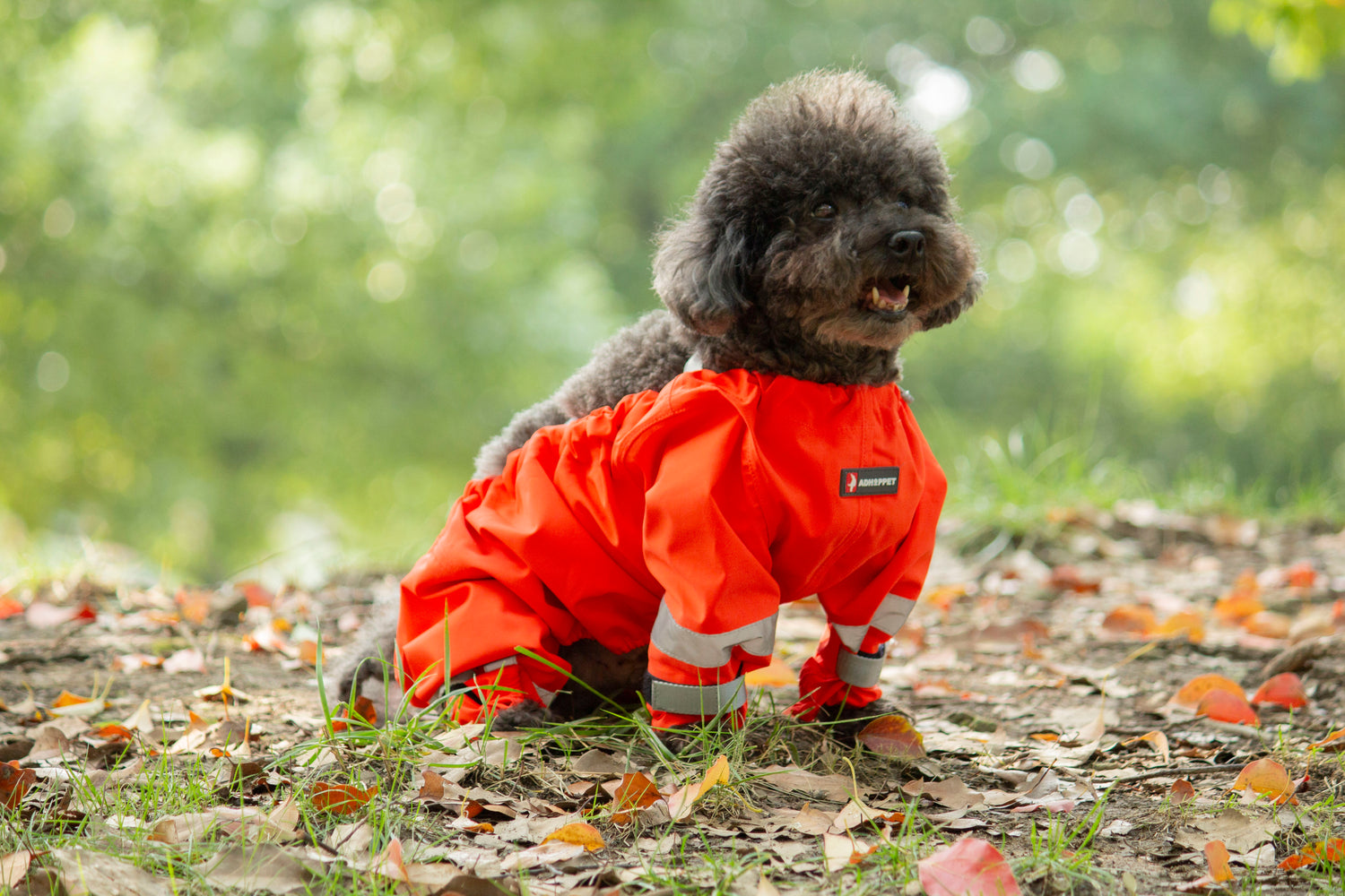 Shield-Protective All-Weather Dog Pants/Orange
