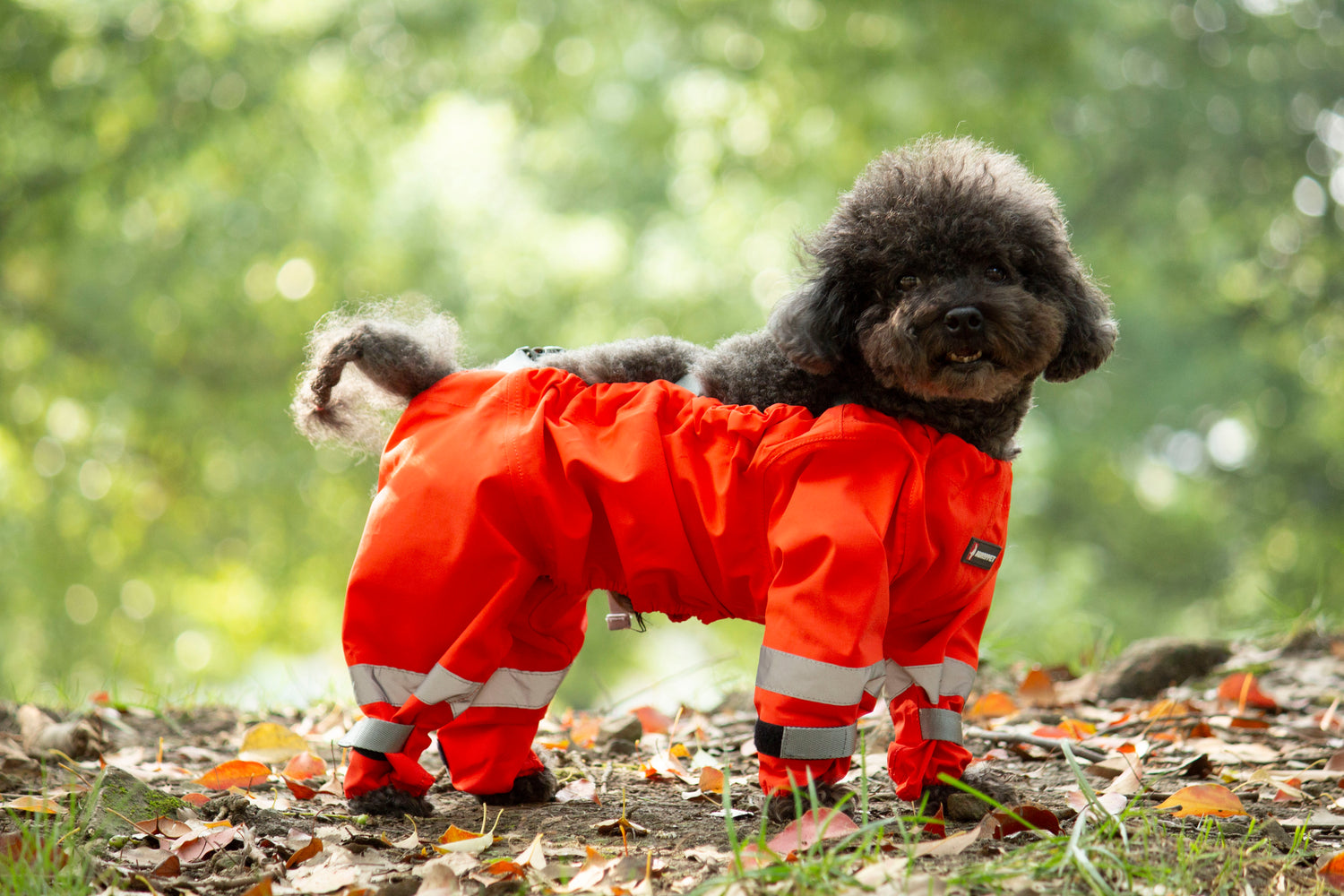 Shield-Protective All-Weather Dog Pants/Orange