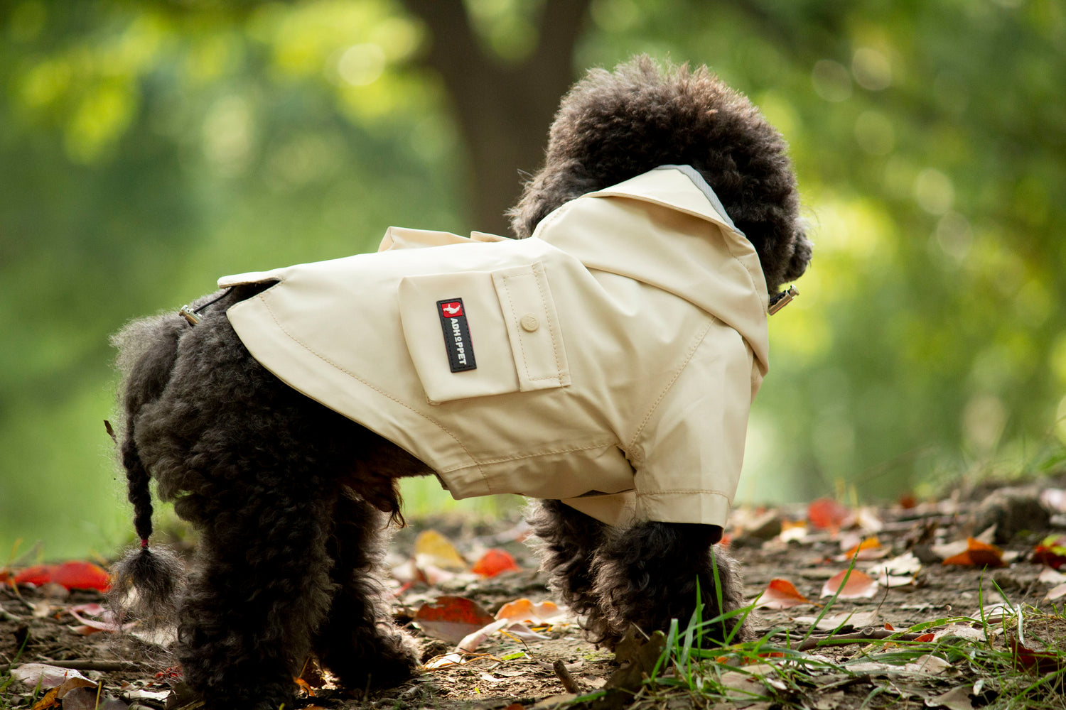 Doggie Rainshield-Beige