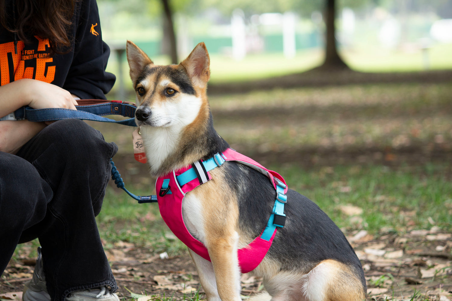 MOUNTAIN TREK HARNESS/TANGERINE