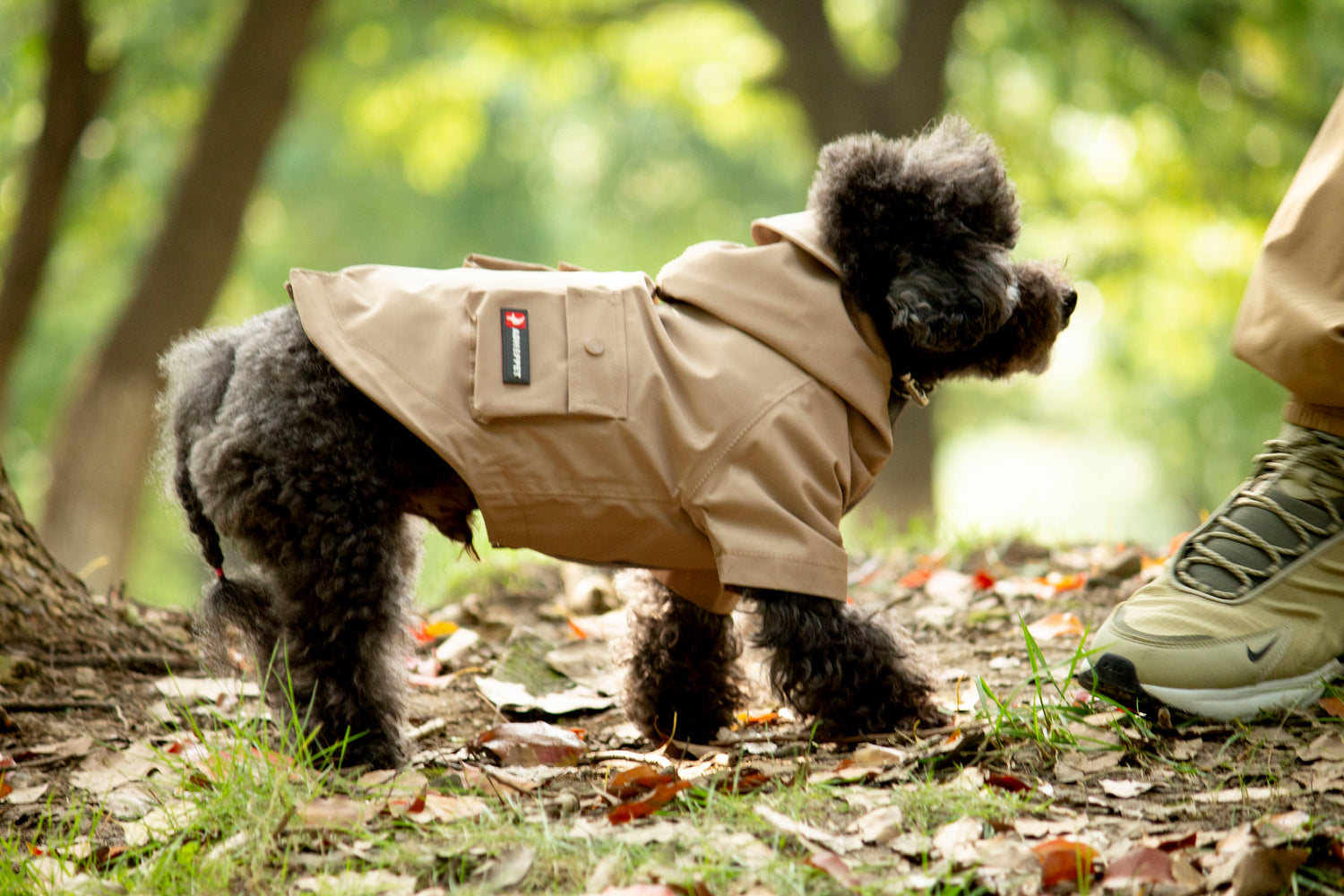 Doggie Rainshield-Sable