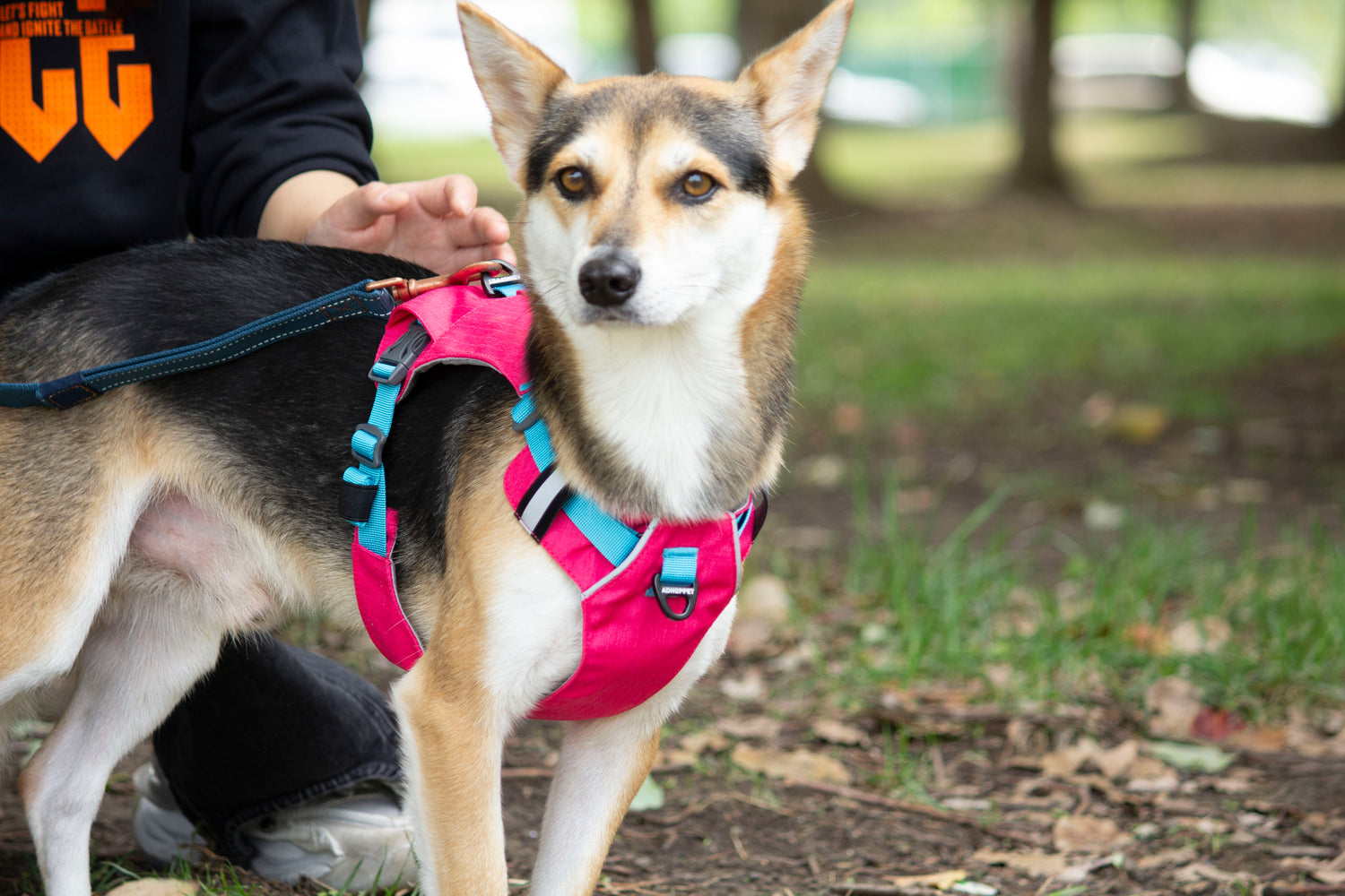 MOUNTAIN TREK HARNESS/TANGERINE
