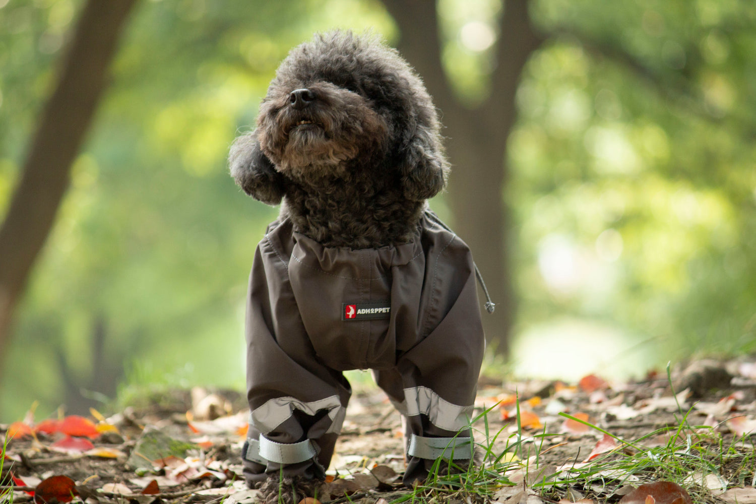 Shield-Protective All-Weather Dog Pants/Grey