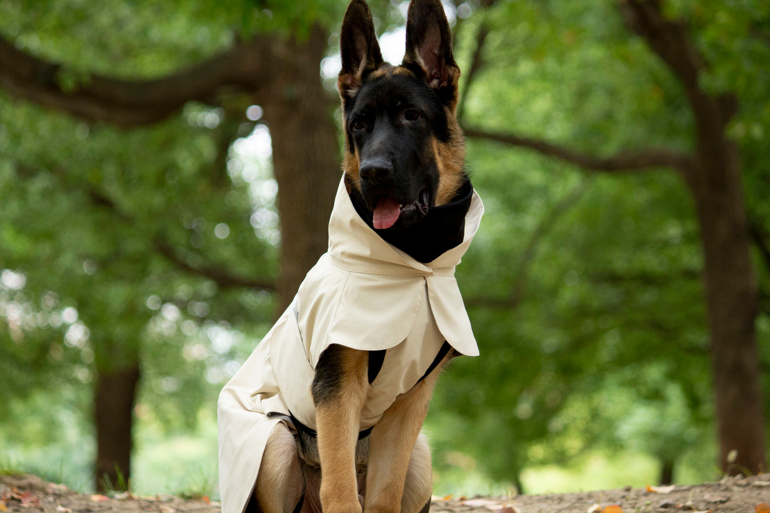 FOREST MIST RAINCOAT/Beige