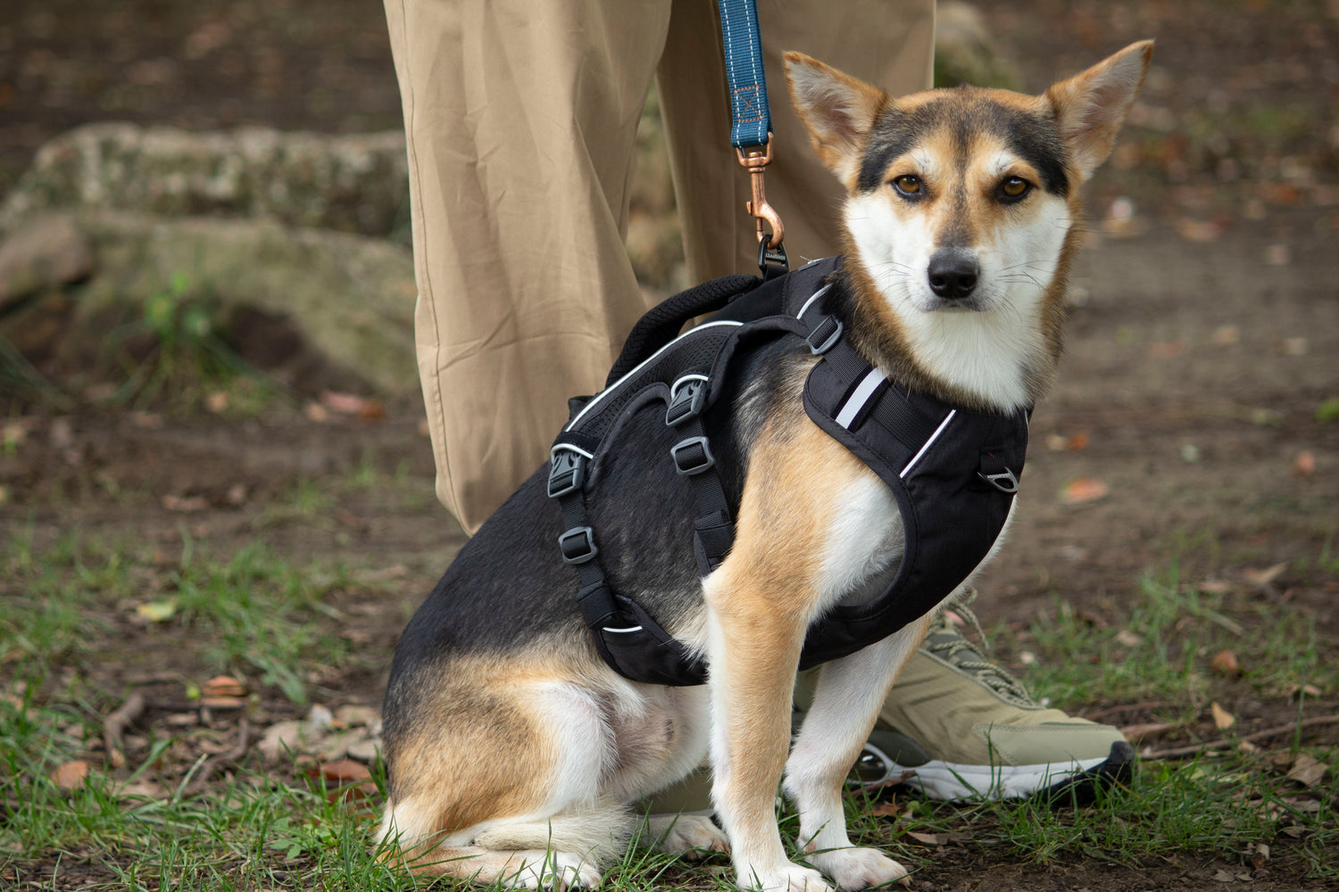 SPRINTER HARNESS/AD-SS002