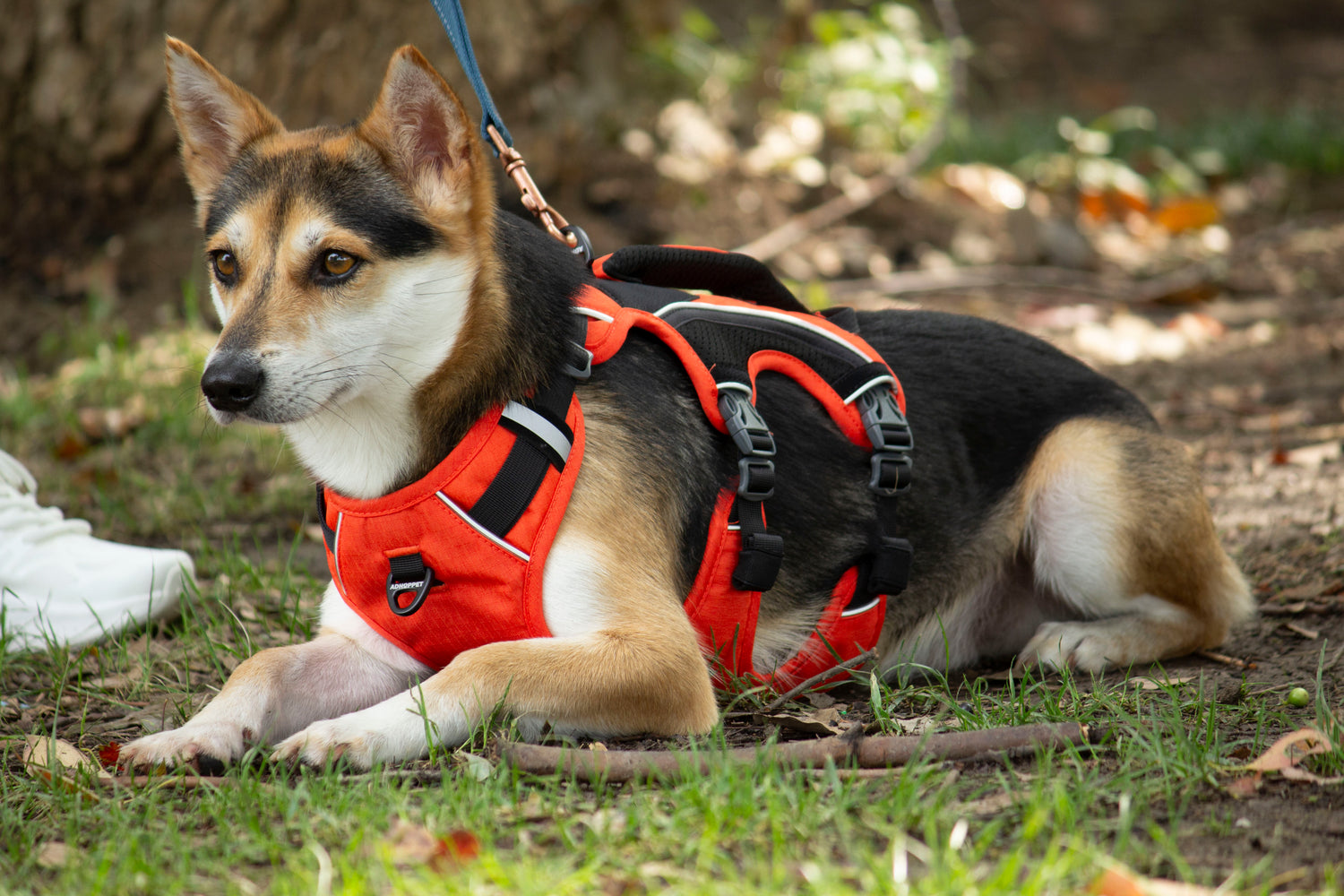 SPRINTER HARNESS/AD-SS003