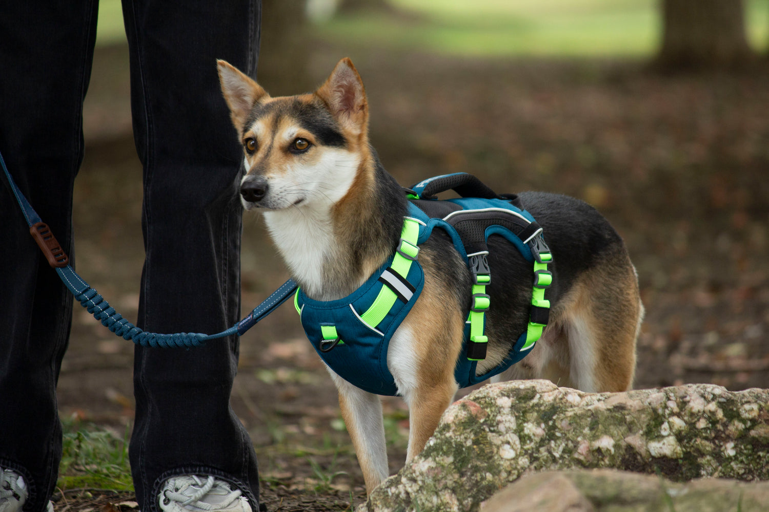 SPRINTER HARNESS/AD-SS001