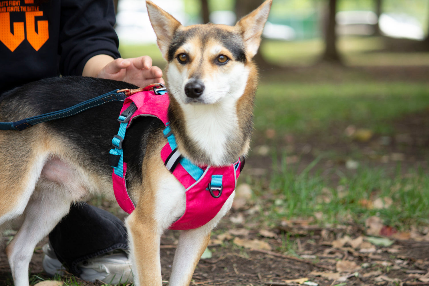 MOUNTAIN TREK HARNESS-PINK