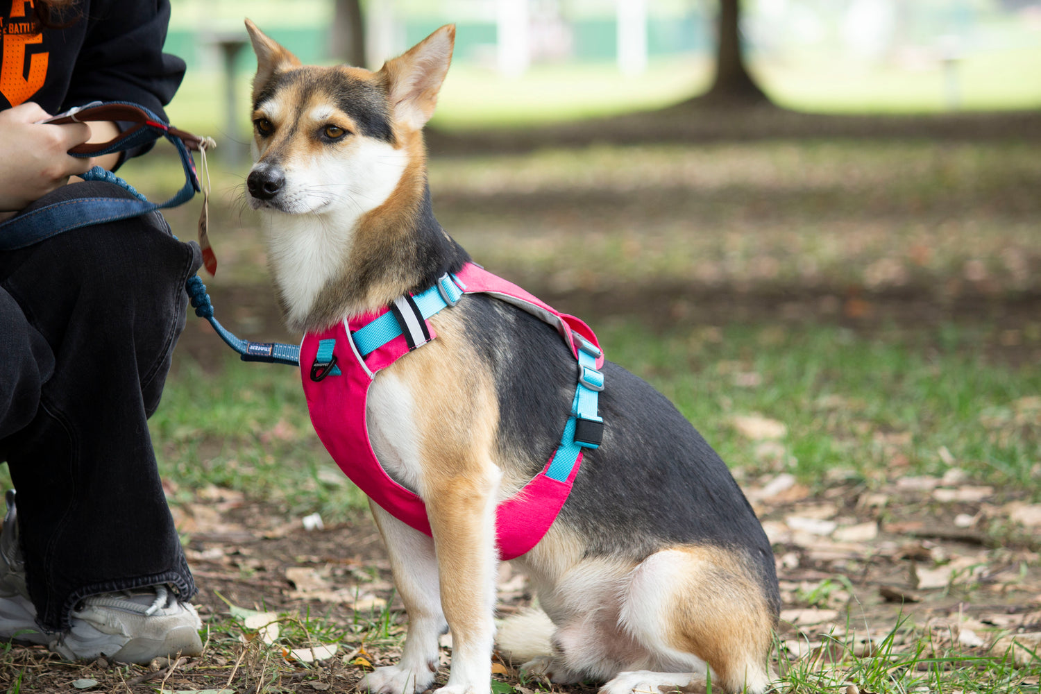 MOUNTAIN TREK HARNESS-PINK