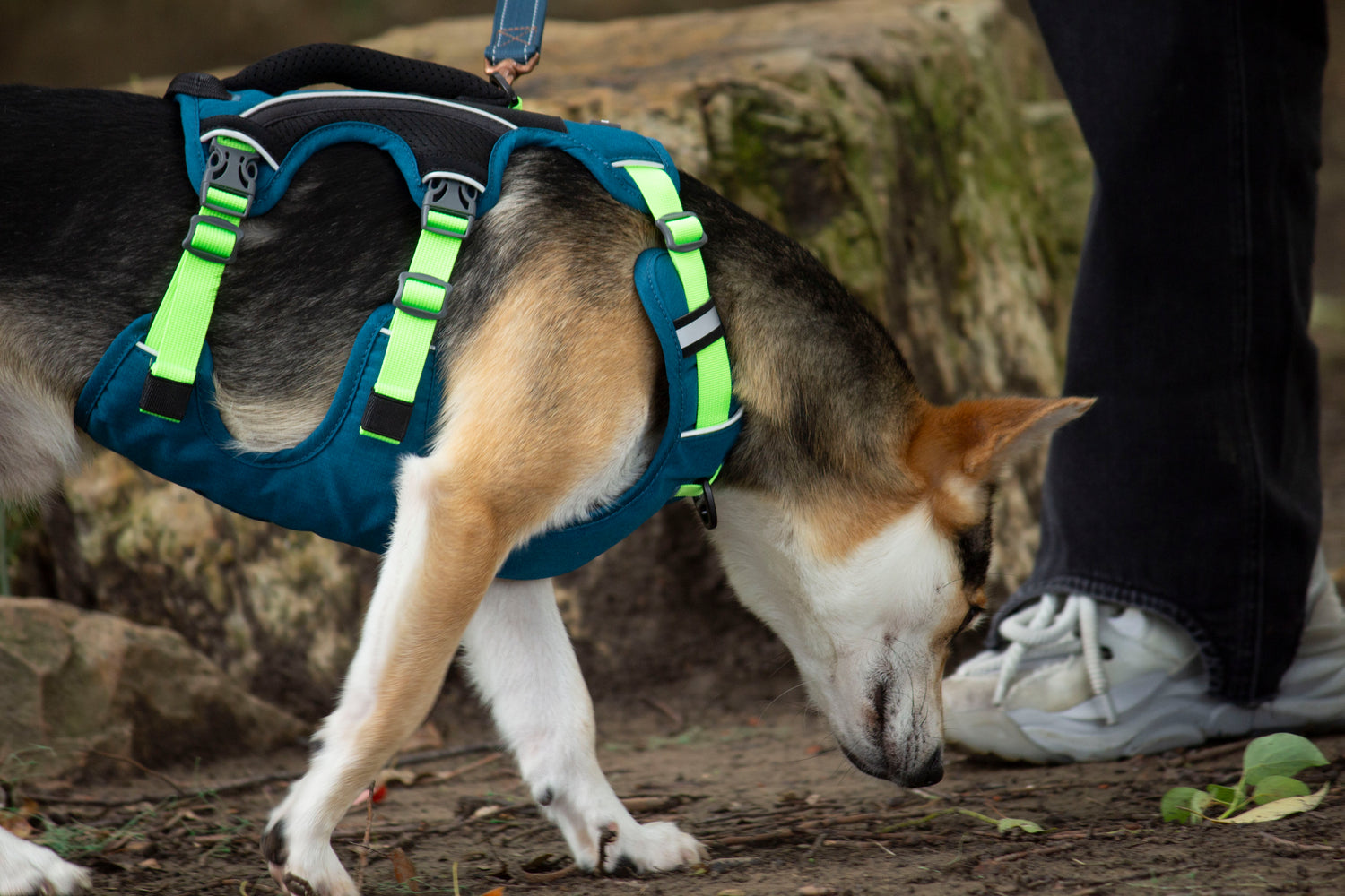 SPRINTER HARNESS/AD-SS001