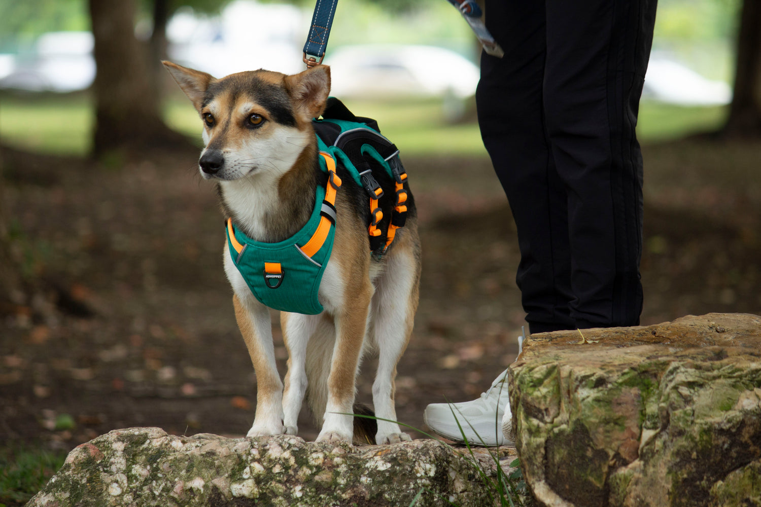 SPRINTER HARNESS/AD-SS05