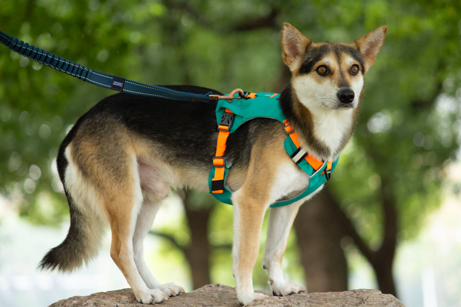 MOUNTAIN TREK HARNESS-GREEN