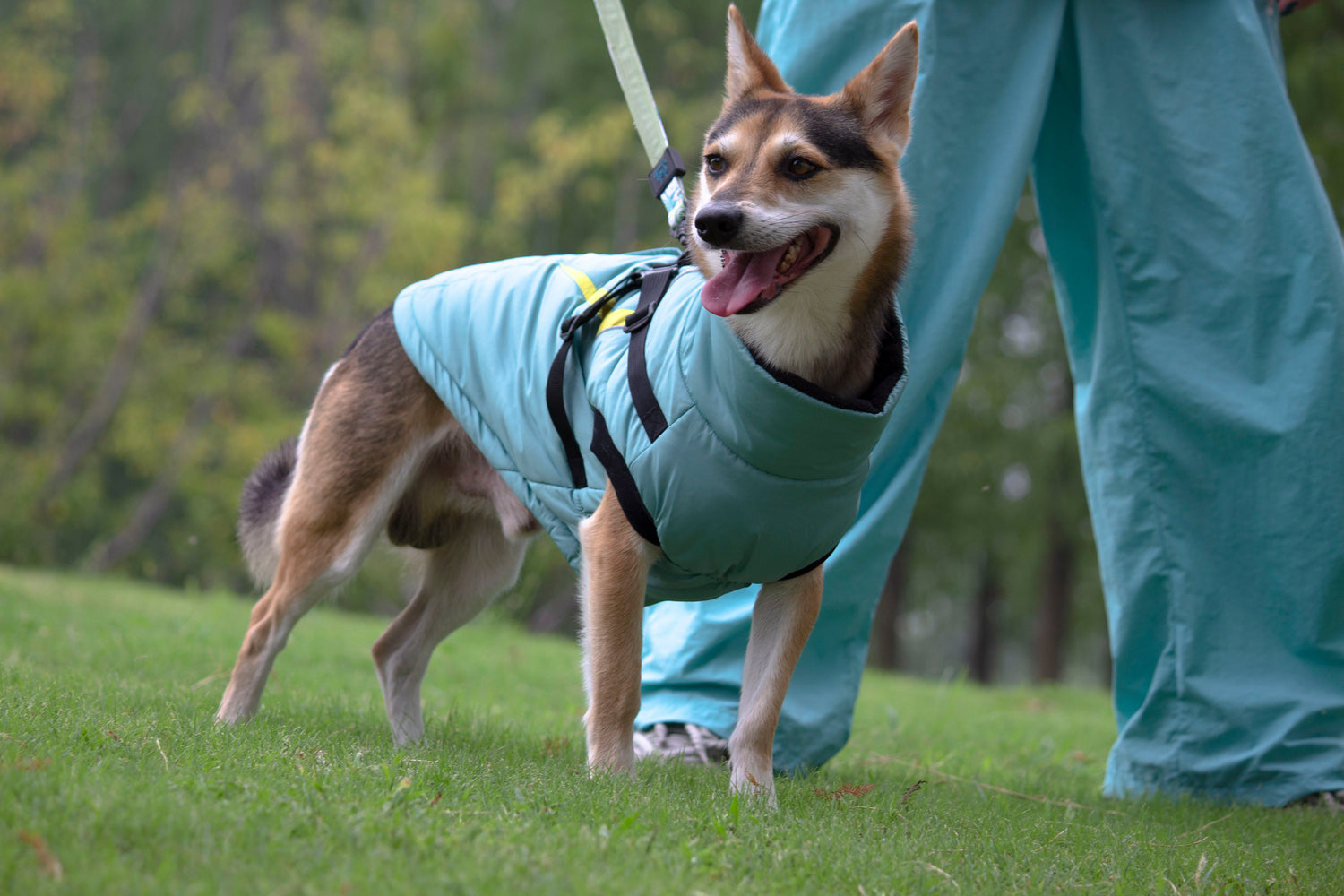 Aspen Harness Winter Jacket