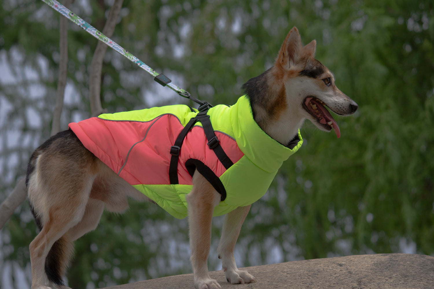 Yukon Harness Winter Jacket