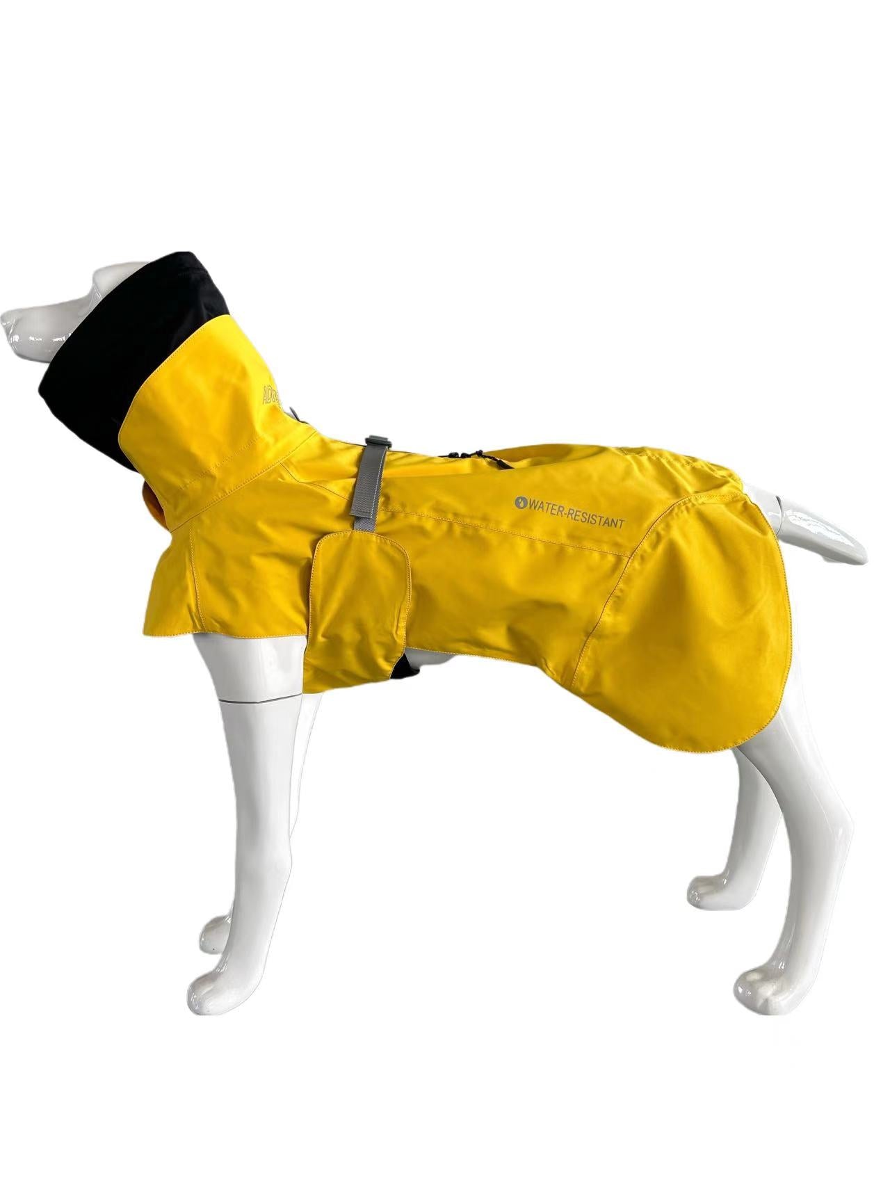 FOREST MIST RAINCOAT/Yellow
