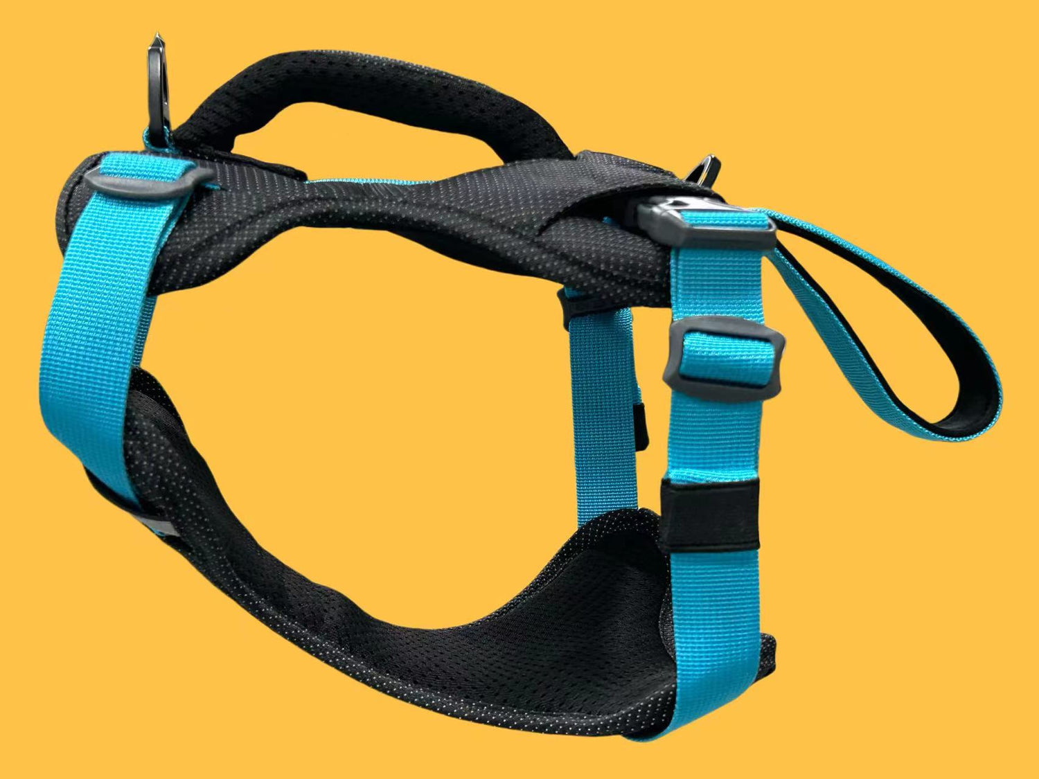 CUSTOM HARNESS-BLUE