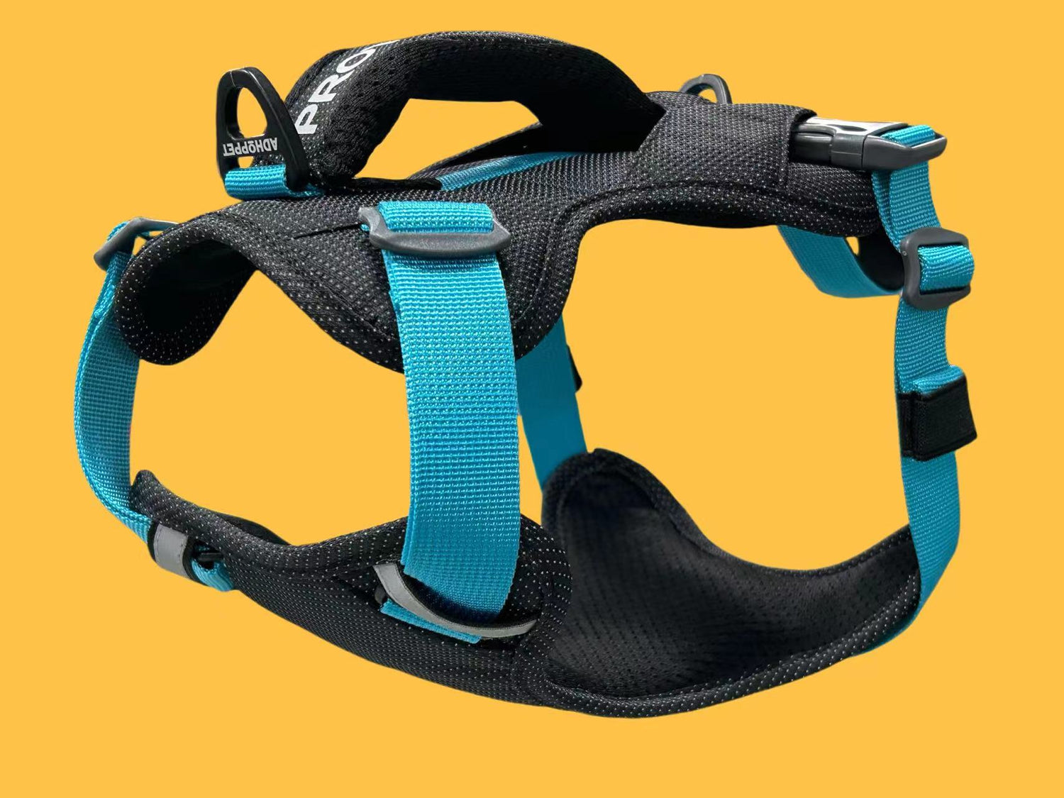 CUSTOM HARNESS-BLUE