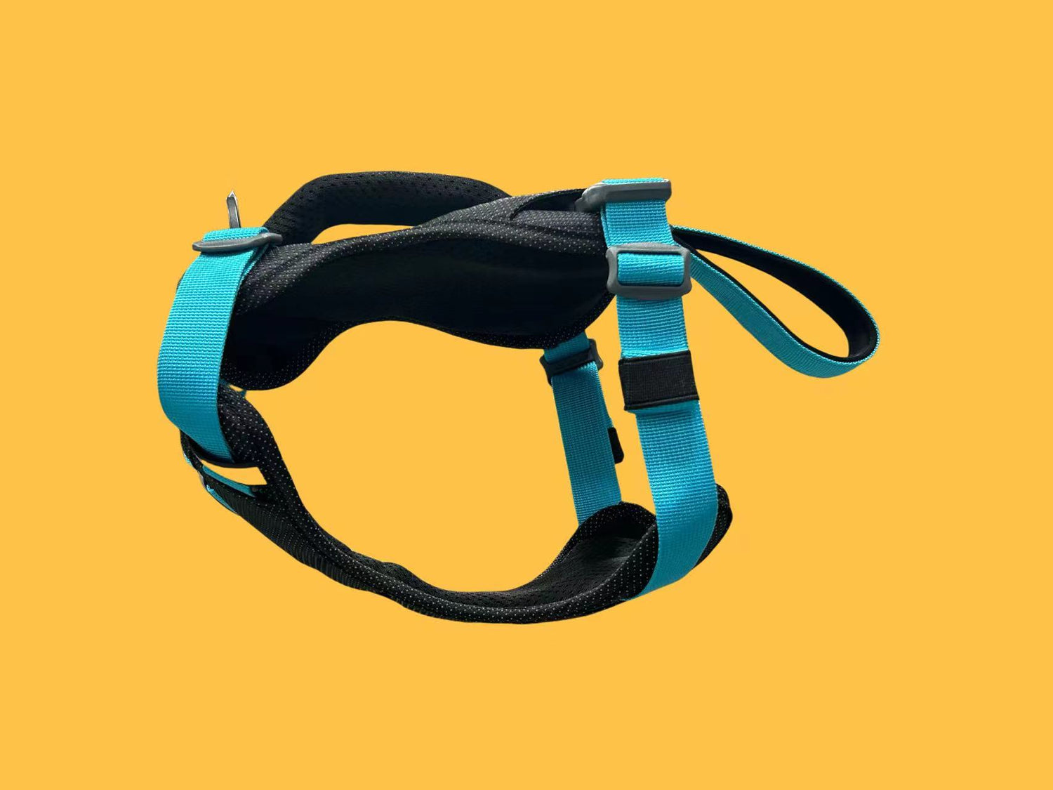 CUSTOM HARNESS-BLUE