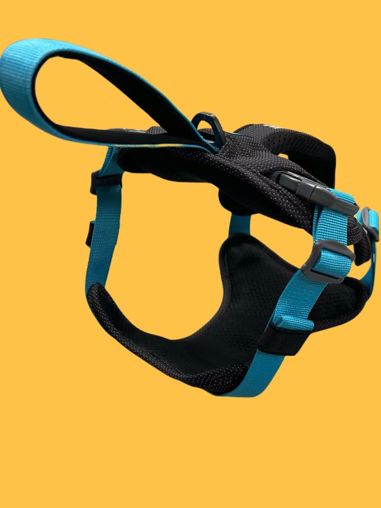CUSTOM HARNESS-BLUE