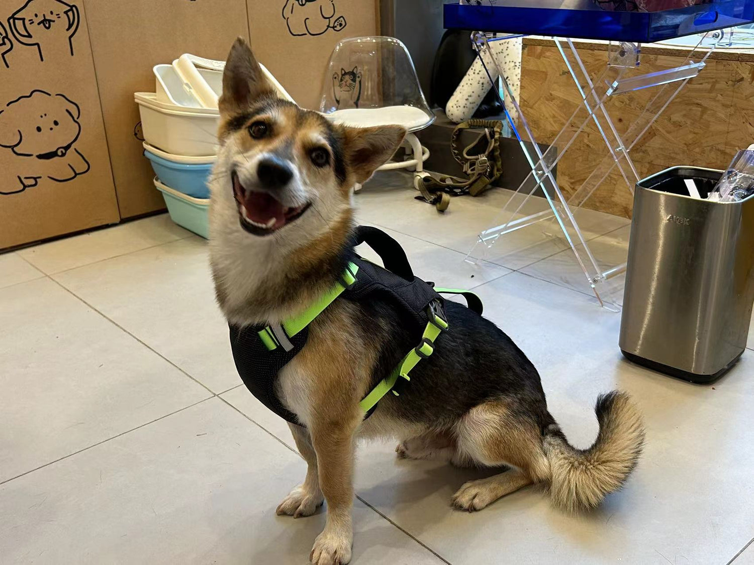 CUSTOM HARNESS-GREEN