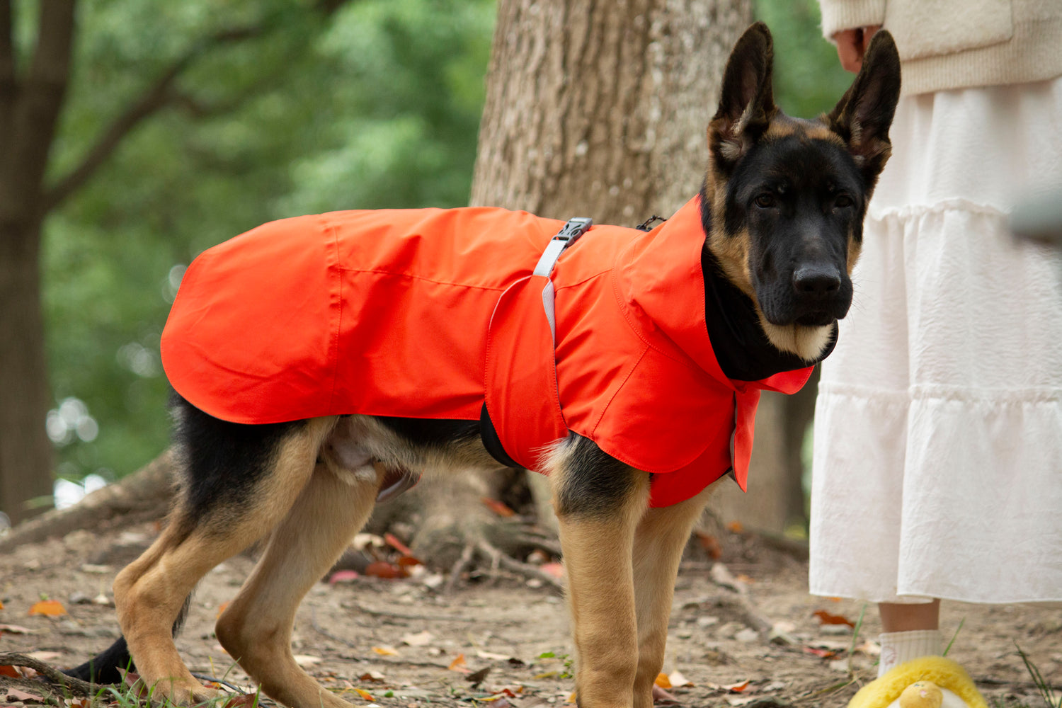 FOREST MIST RAINCOAT/Tangerine