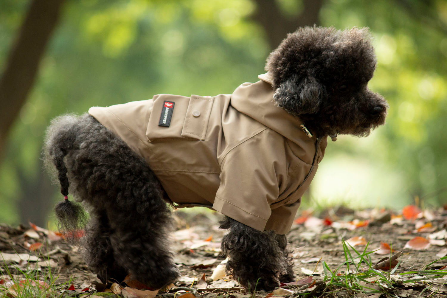 Khaki- dog raincoat