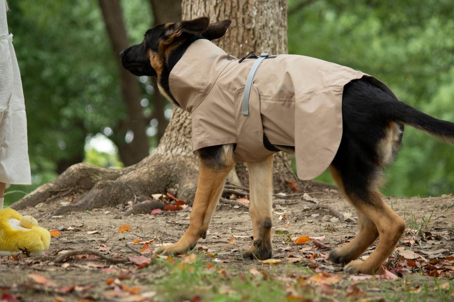 FOREST MIST RAINCOAT/Sable