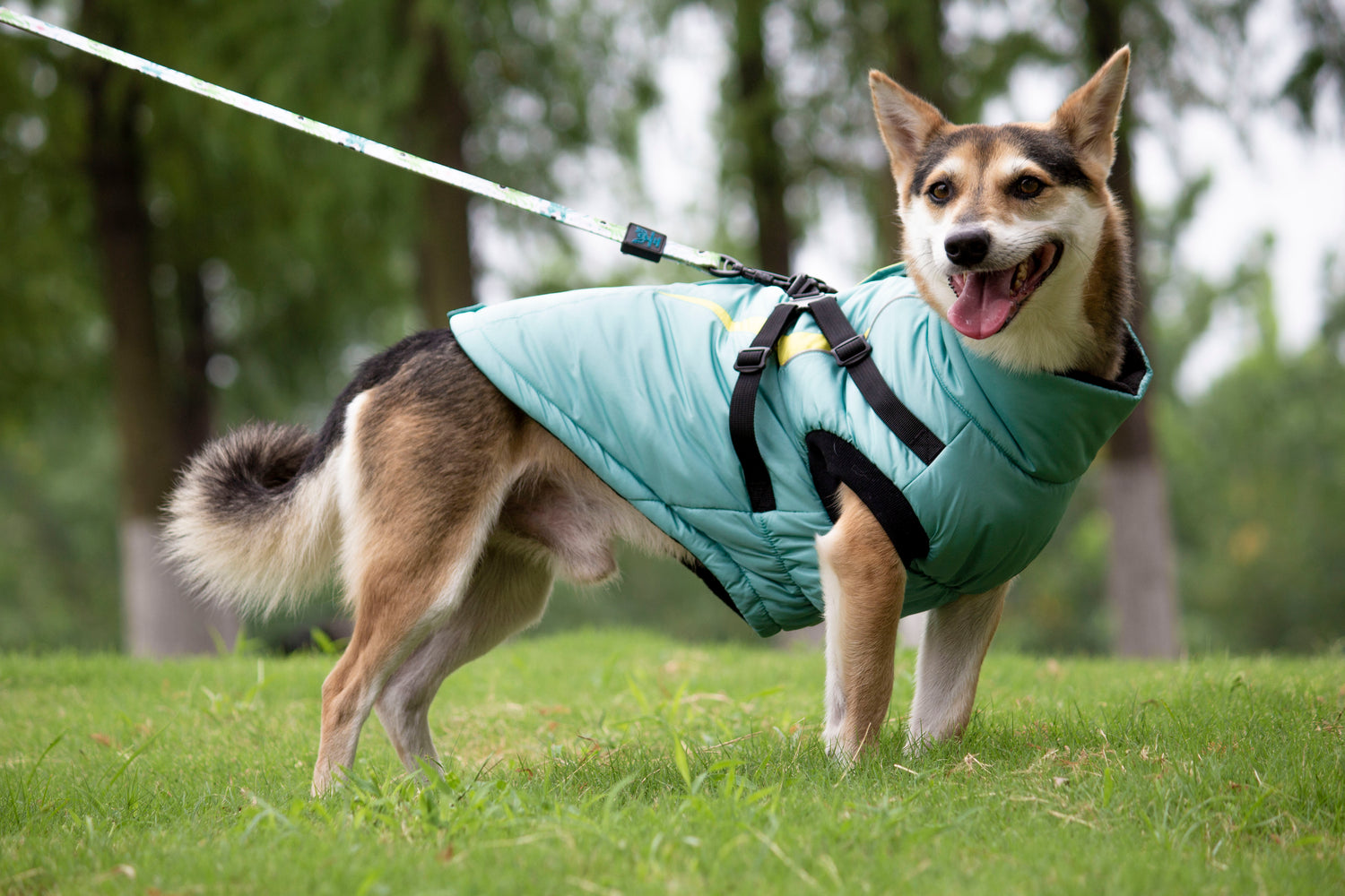 Aspen Harness Winter Jacket