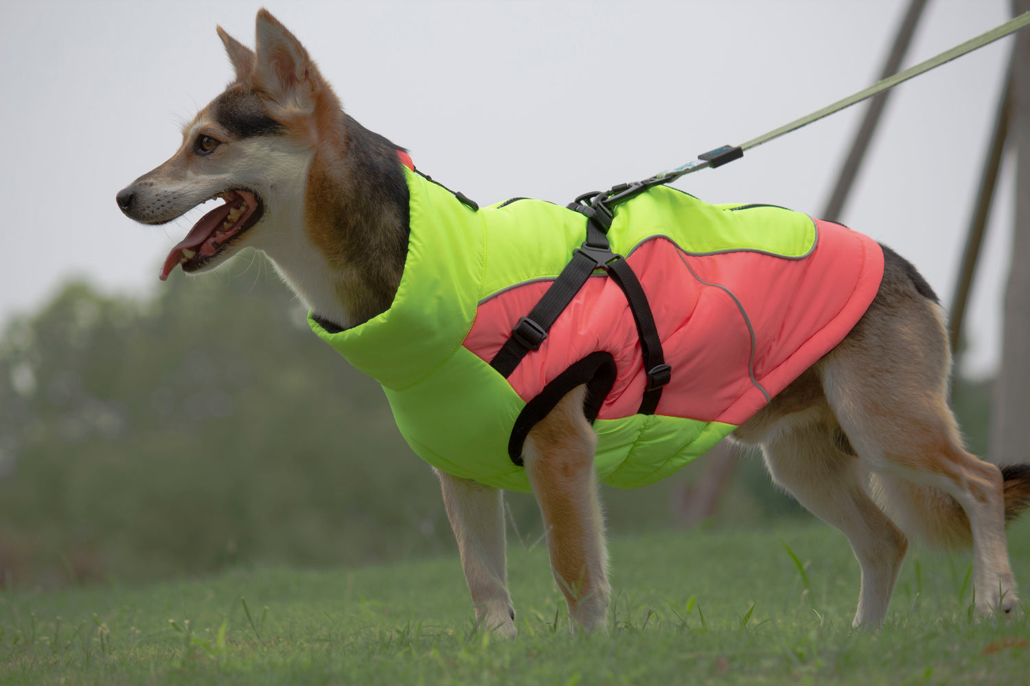 Yukon Harness Winter Jacket